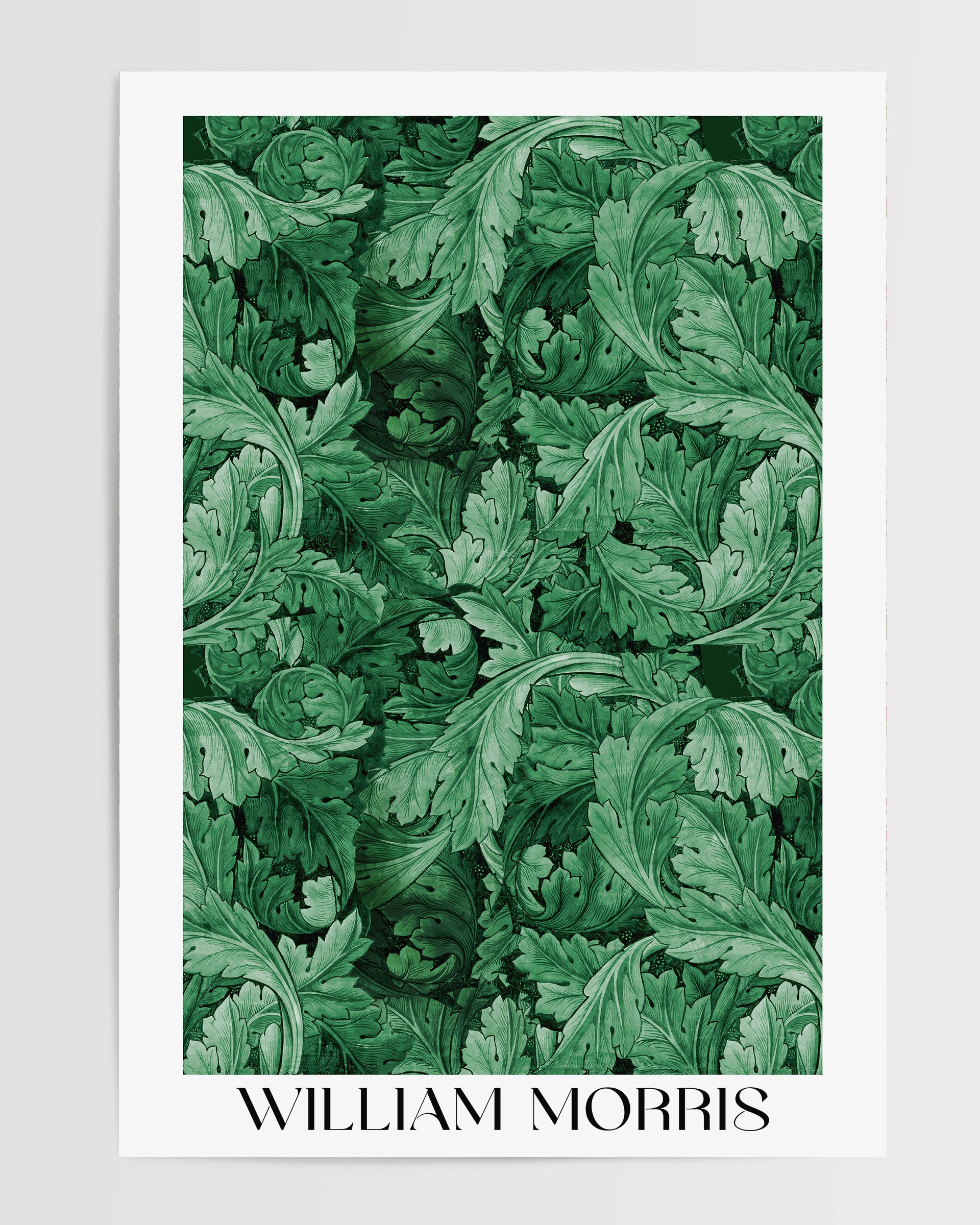 Leaf Pattern The Poster Square